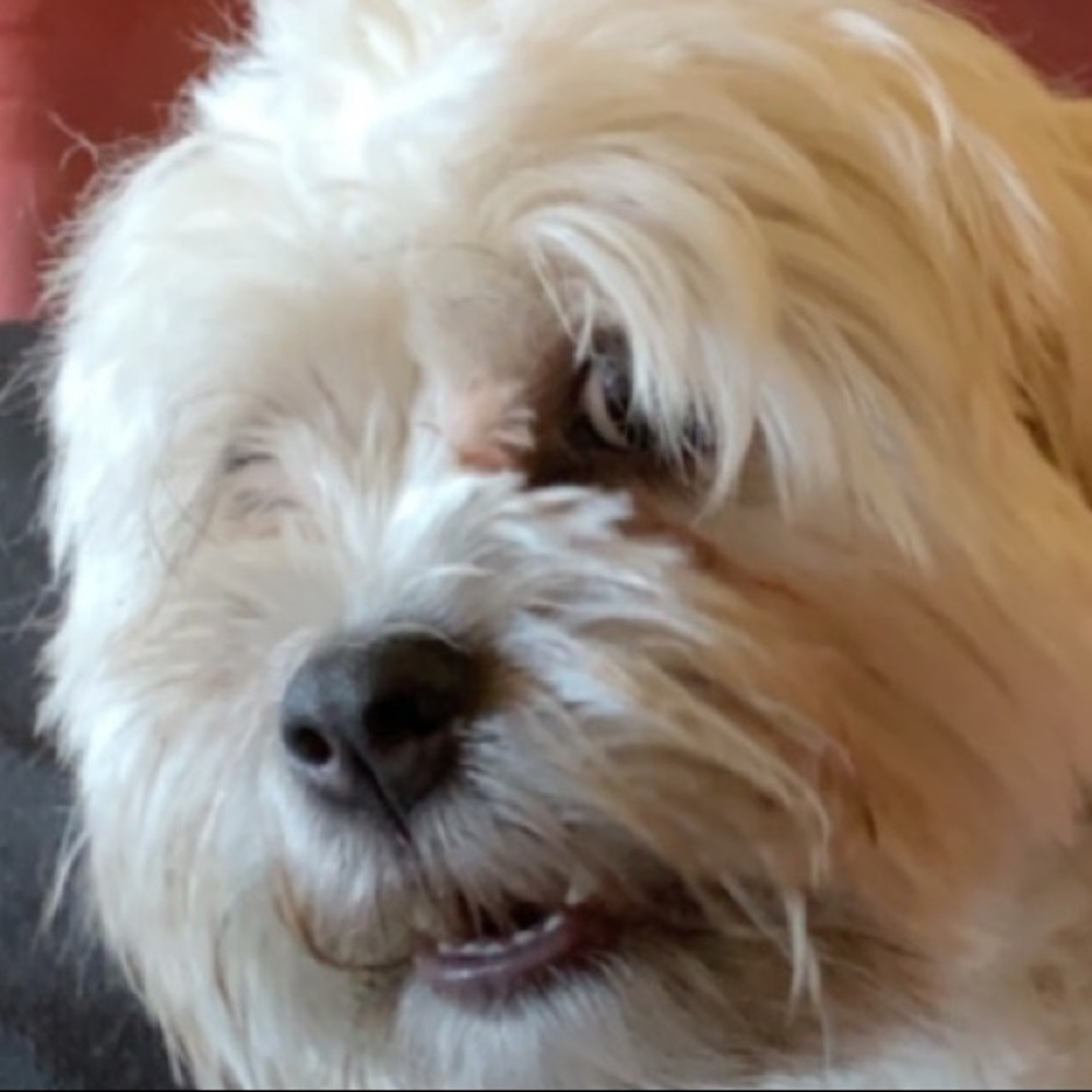 Meet your Posher, Ellie